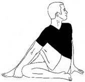 Ardha Matsyendrasana.jpg